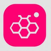 Honista Apk Icon