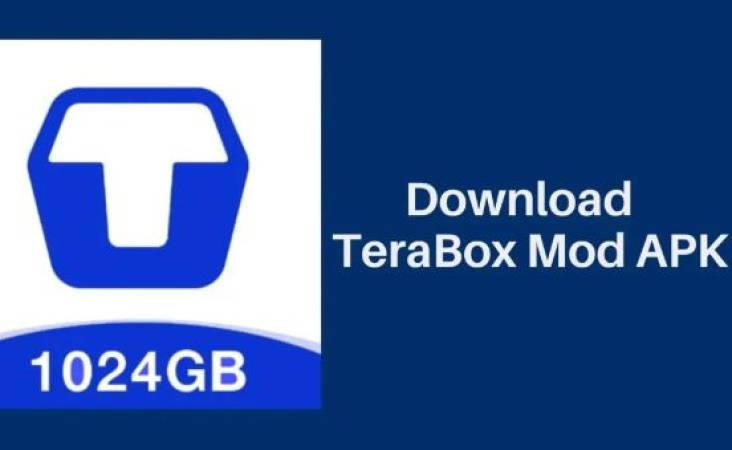 Terabox Mod APK