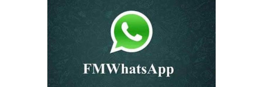 FM WhatsApp Apk Download 10.06 Latest Version 2025