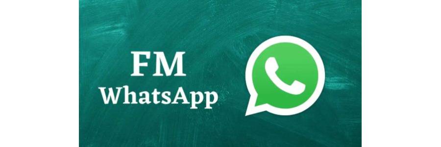 Fm Whatsapp Apk 10.10 Download Latest Version 2025