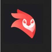 Videoleap Mod APK Icon