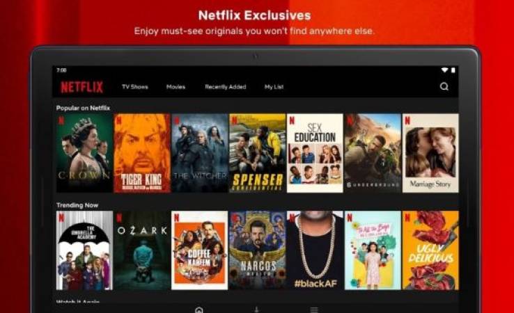 Netflix APK